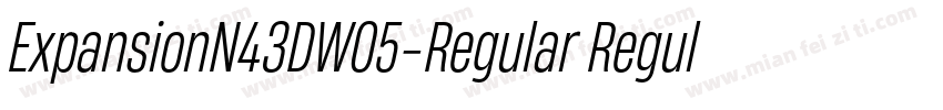 ExpansionN43DW05-Regular Regula字体转换